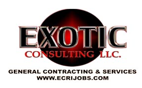 Exotic Cunsulting llc. logo